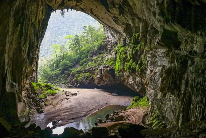 Undiscovered Cave Has Its Own Unique Ecosystem